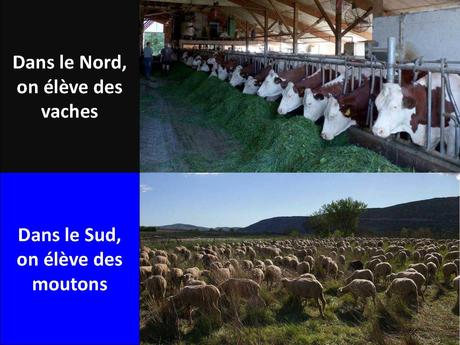 La France - Aimeriez vous êre Nordiste ou Sudiste - 3