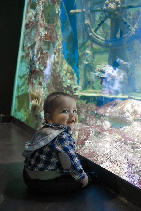 Visite de l'aquarium de Saint Malo avec un bébé