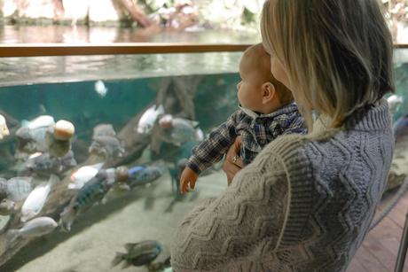 Visite de l'aquarium de Saint Malo avec un bébé