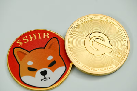 Top Dog Meme Coins : La nouvelle crypto-monnaie Dogetti s'engage à atteindre le Dogecoin et le Shiba Inu 5 image 15