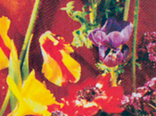 chanson Paul McCartney parle soit père, Dieu.