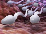 CONTRACEPTION MASCULINE pilule demande, c’est possible