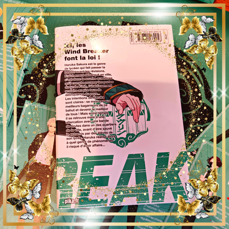 Wind Breaker T01 et T02 de Satoru Nii Wind Breaker T01 et T02 de Satoru Nii