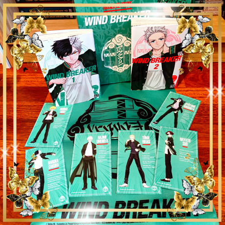 Wind Breaker T01 et T02 de Satoru Nii Wind Breaker T01 et T02 de Satoru Nii