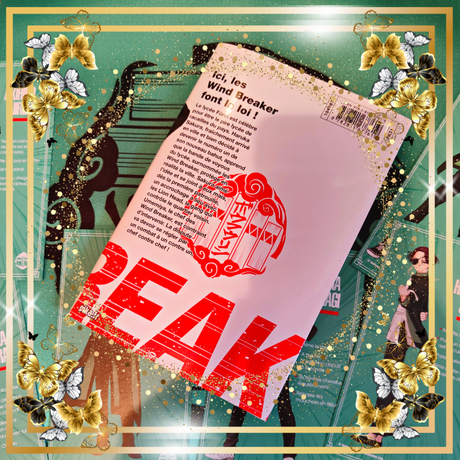 Wind Breaker T01 et T02 de Satoru Nii Wind Breaker T01 et T02 de Satoru Nii