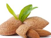 EXERCICE L’acide gras amandes favorise récupération