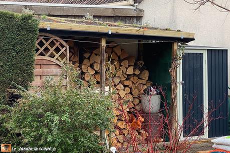 Végétalisation extensive du toit du bûcher au fond du jardin Bucher-nouveau-toit-végétalisé