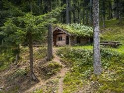 Silure et Crépuscule - Bertrand Moreau