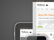 Moderniser Flexibilité WordPress
