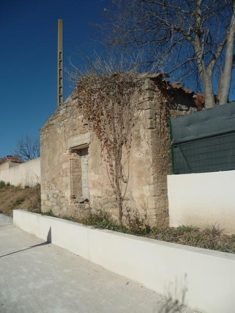 campagne,promenade,vignes,chevaux,marche,sport