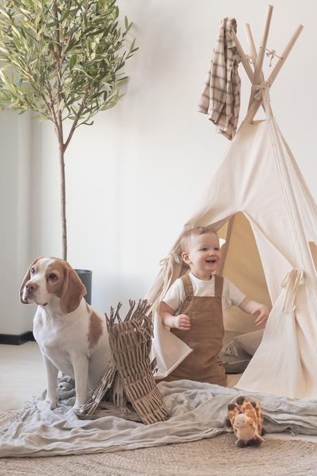 shooting jungle bébé chien beagle lemon tipi beige