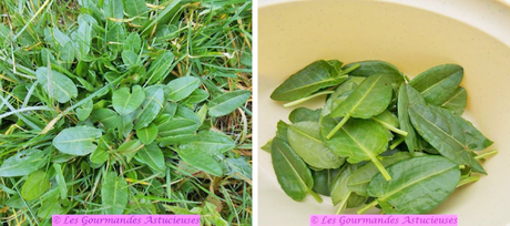 Poêlée de pois chiches très originale et très savoureuse (Vegan) Poêlée de pois chiches très originale et très savoureuse (Vegan)