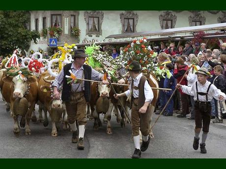 Divers - Quels beaux défilés...