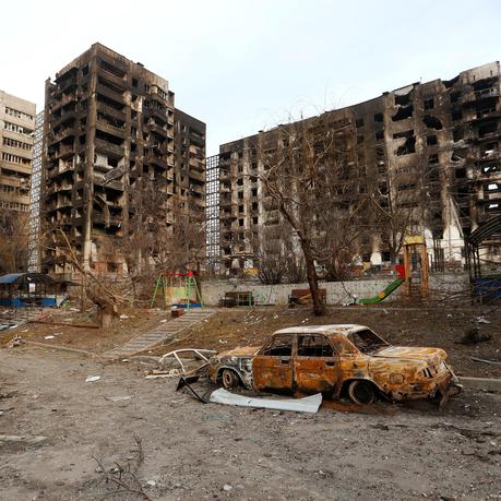 Un An De Survie Un An De Survie