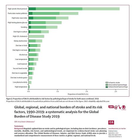 L'AVC de Pierre Palmade