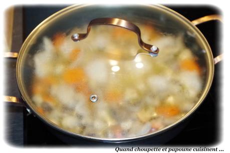 blanquette de dinde-2223