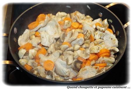 blanquette de dinde-2220