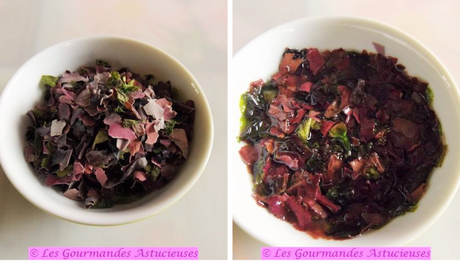 Tartinade surprise aux héliantis (Vegan)