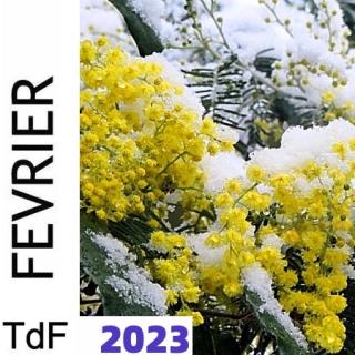 TDF FEV 2023