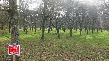 j'en ai besoin j'en ai besoin