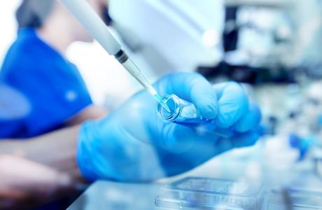 Les traitements de fertilité n'affectent pas négativement la santé cardiovasculaire des enfants conçus par FIV (Visuel Adobe Stock 296392470) Les traitements de fertilité n'affectent pas négativement la santé cardiovasculaire des enfants conçus par FIV (Visuel Adobe Stock 296392470)