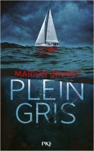 Plein gris, Marion Brunet Plein gris, Marion Brunet