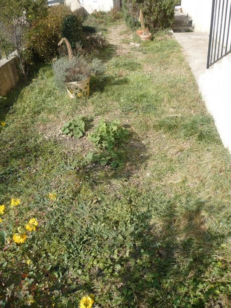 jardin,jardinage,fleurs,plantes,arbustes,outils