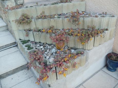 jardin,jardinage,fleurs,plantes,arbustes,outils