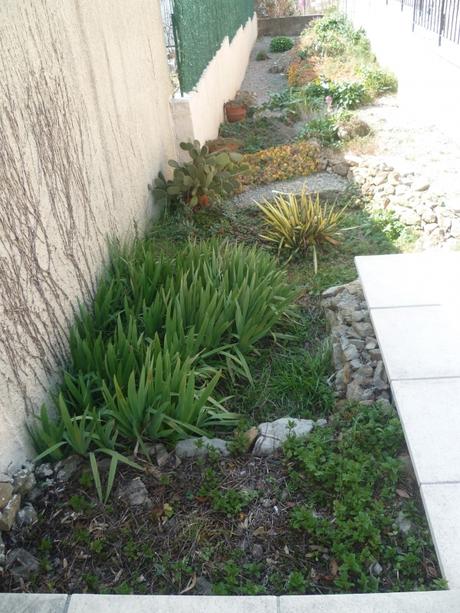 jardin,jardinage,fleurs,plantes,arbustes,outils