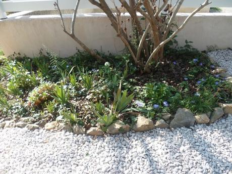 jardin,jardinage,fleurs,plantes,arbustes,outils