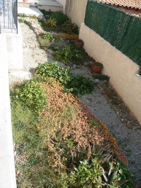 jardin,jardinage,fleurs,plantes,arbustes,outils