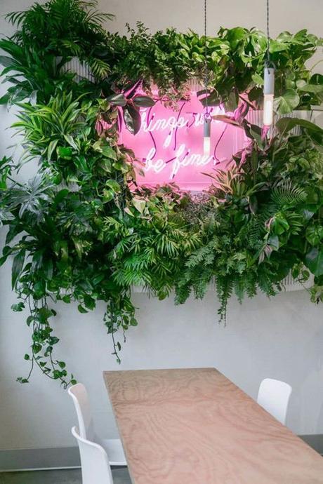 deco intérieure mur blanc végétation neon rose table bois