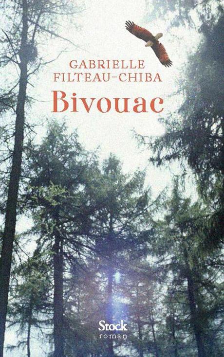 Bivouac: Gabrielle Filteau-Chiba nous offre une belle immersion en Gaspésie 9782234092938-001-T