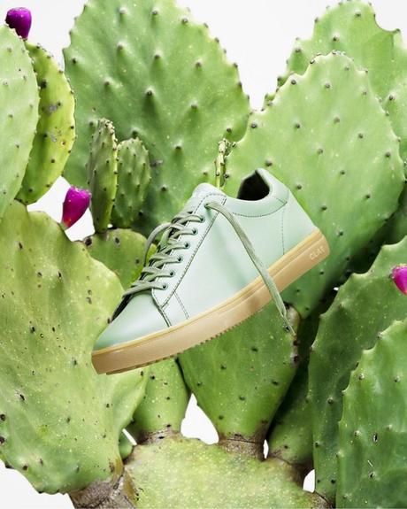Test de la première sneaker faite à partir de cactus par CLAE Test de la première sneaker faite à partir de cactus par CLAE
