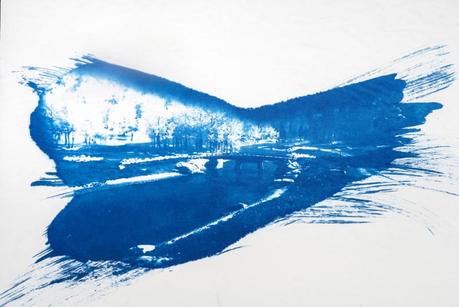 Les cyanotypes de Tsushima : de superbes tirages commencent comme des photos de jeux vidéo Les cyanotypes de Tsushima