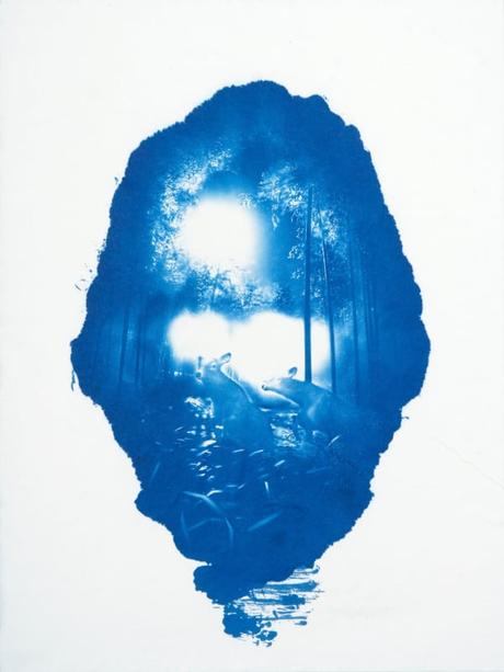 Les cyanotypes de Tsushima : de superbes tirages commencent comme des photos de jeux vidéo Les cyanotypes de Tsushima