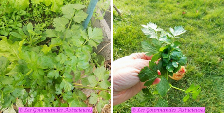 Chili à la courge (Vegan) Chili à la courge (Vegan)