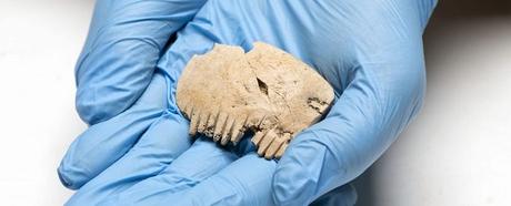 Un peigne en os humain découvert en Angleterre