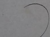 Gabriel Zimmermann Lapidaires