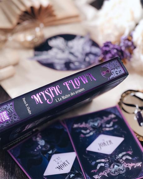 Roman Young Adult : Mystic Flown - tome 1