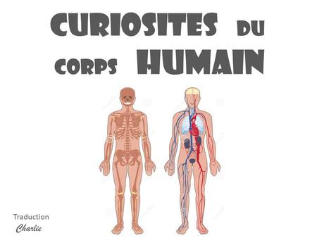 Divers - Curiosités du corps humain