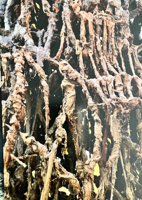 Domaine de Chaumont sur Loire -(Centre d’arts et de nature) «  » une saison d’art «  »- à partir du 31 Mars 2023.