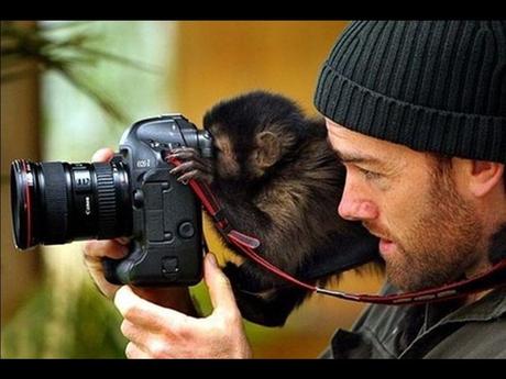 Divers - Laquelle la plus belle - 1