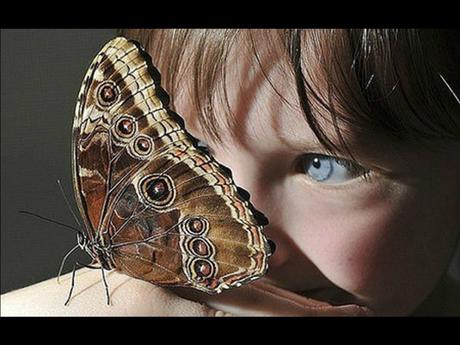 Divers - Laquelle la plus belle - 1