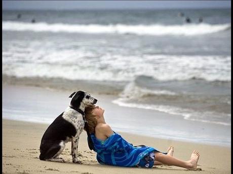 Divers - Laquelle la plus belle - 1