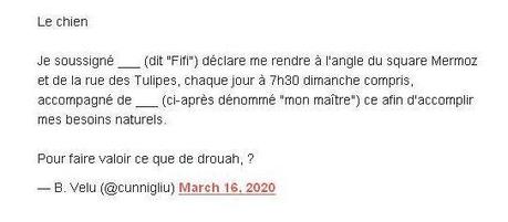 Covid-19 : il y a trois ans, le choc, la sidération et la désolation...