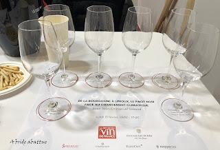 Le réchauffement climatique favorise des vignobles de Pinot noir