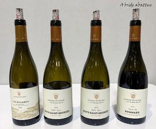 Le réchauffement climatique favorise des vignobles de Pinot noir