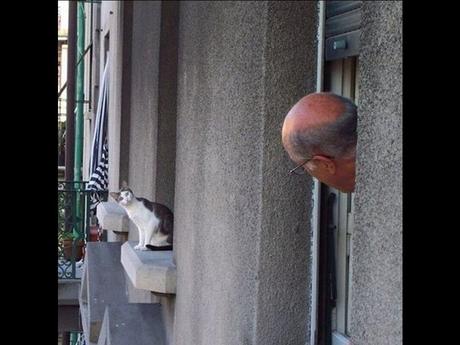 Divers - Laquelle la plus belle - 2