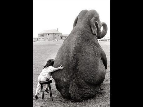 Divers - Laquelle la plus belle - 2